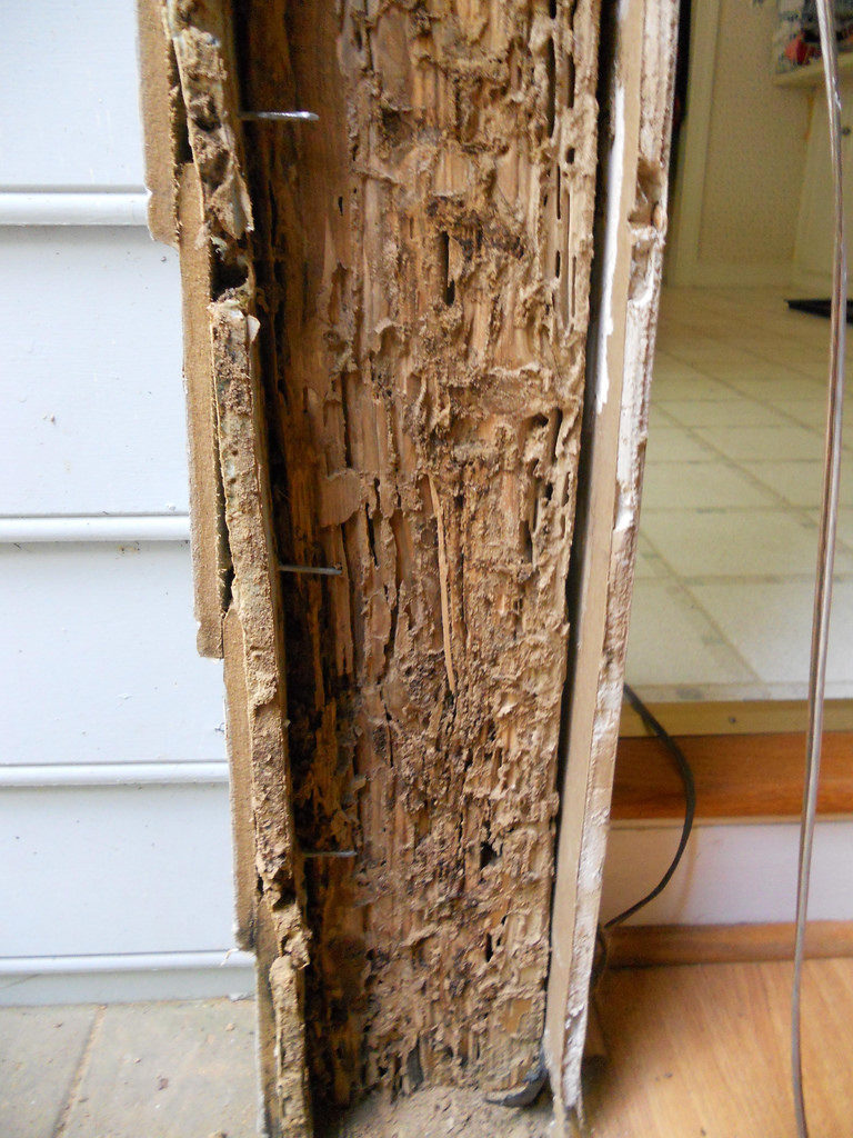 0031_termite_resistant_wood_003