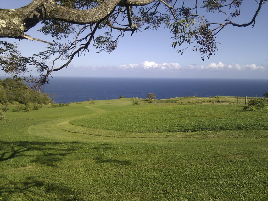 Hawaii Hardwood Timber Home